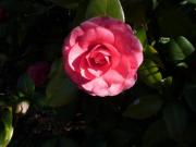 379229_10100580810672616_1453878116_n