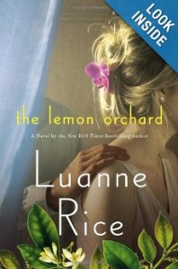 the lemon orchard