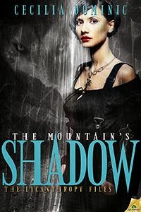 the-mountains-shadow